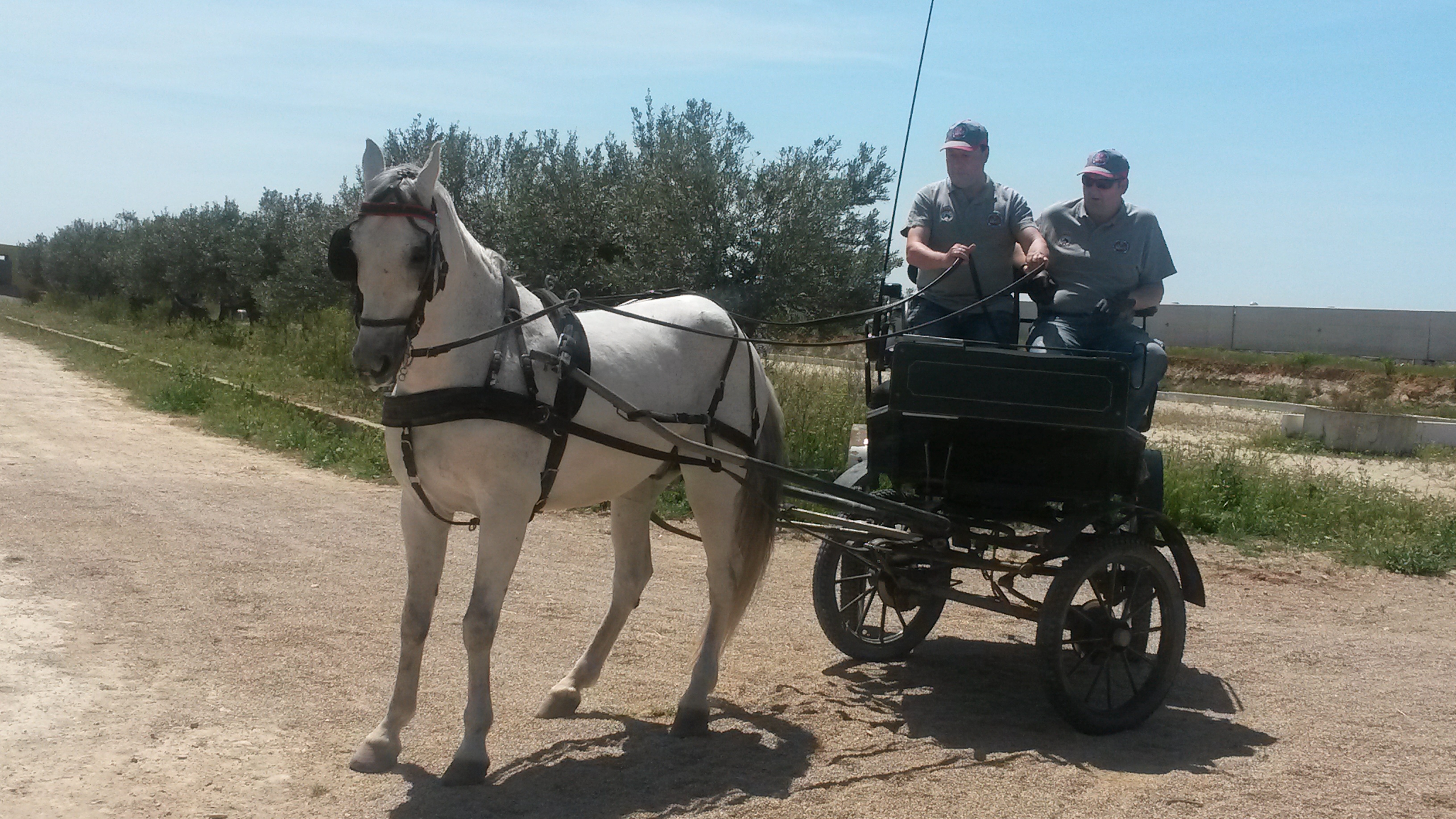 Clínic de actualización y perfeccionamiento en Enganches impartido por Juan Esteve en el Club Hípico La Pinturita de Olite